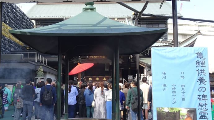前を通ると偉い賑やかなので覗きに行って来ました!覗きと言っても出歯亀ではありません。