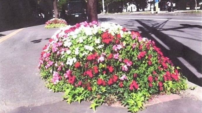 なんとか見られるようになったかな?