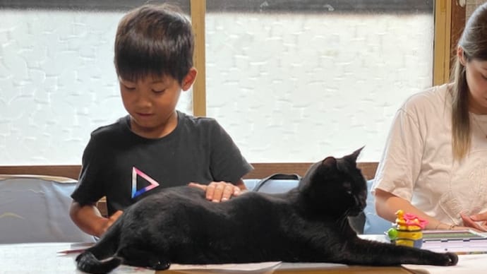 僕も仲間に入れてにゃ
