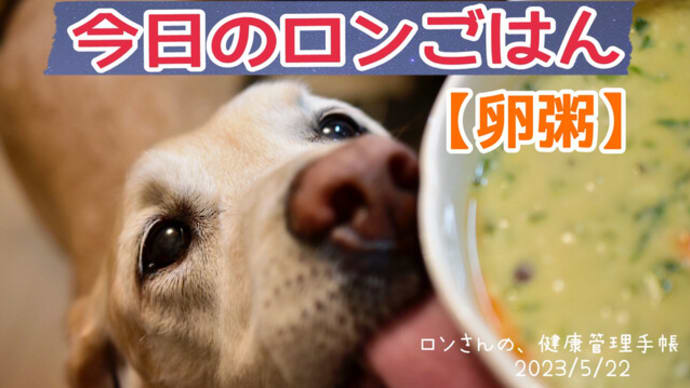 大型犬ごはん☆卵粥☆今日のロンごはん☆