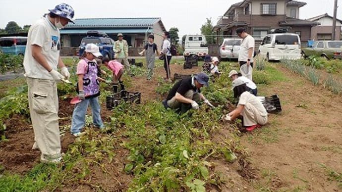 里山体験プログラム「ジャガイモの収穫とビーフカレー作り」