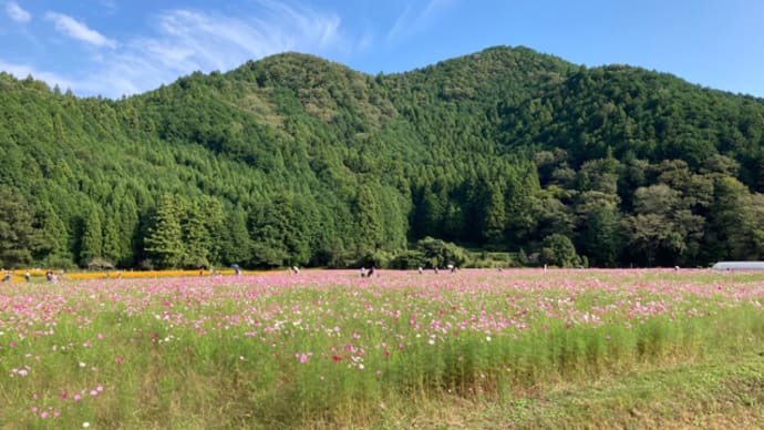 丹波のつづき
