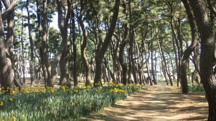湘南海岸ポタリング