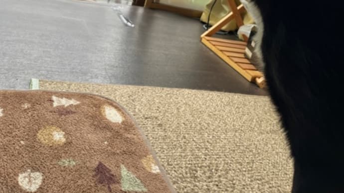 ギュウッと