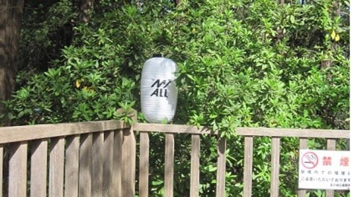 井の頭公園駅デビュー