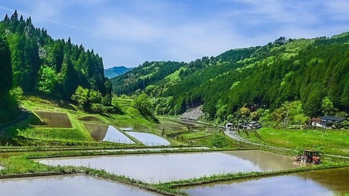 男たちのメロディー SHOGUN