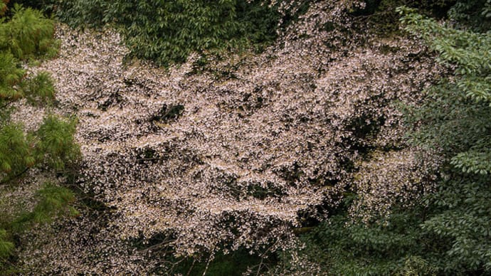 2023.3.24 尾鷲〜熊野市飛鳥町