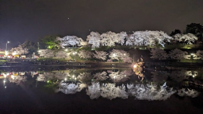 夜桜　前橋公園と臨江閣