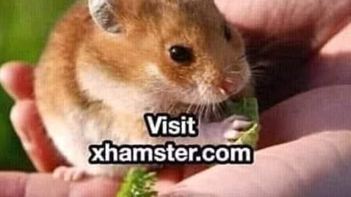 Visit The Site XHamster Dot Com For Cuteness.  😀😃😄😁😆😅😂🤣😈🐭🐁🐀