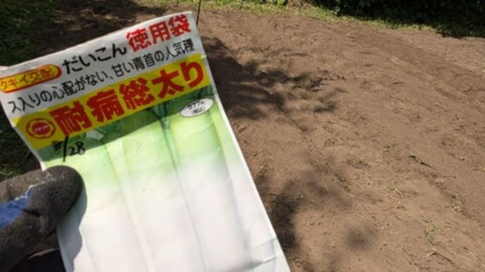 野菜づくりには厳しい環境