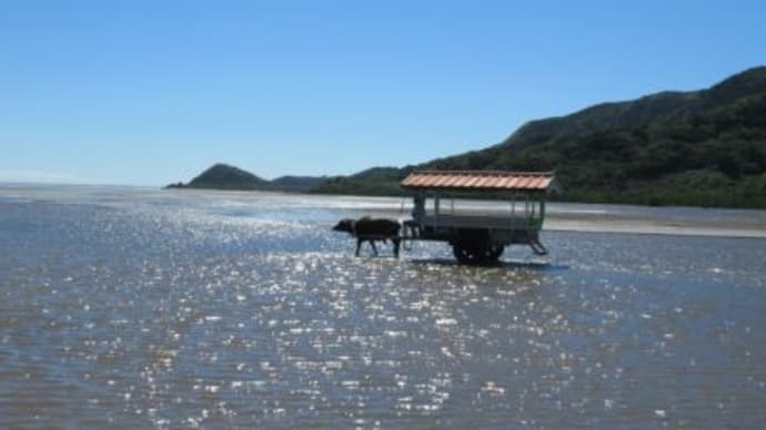 🐚 修学旅行2日目 🐚
