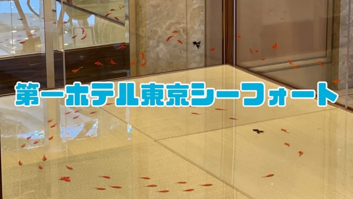 天王洲(阪急阪神第一ホテルグループ)食事