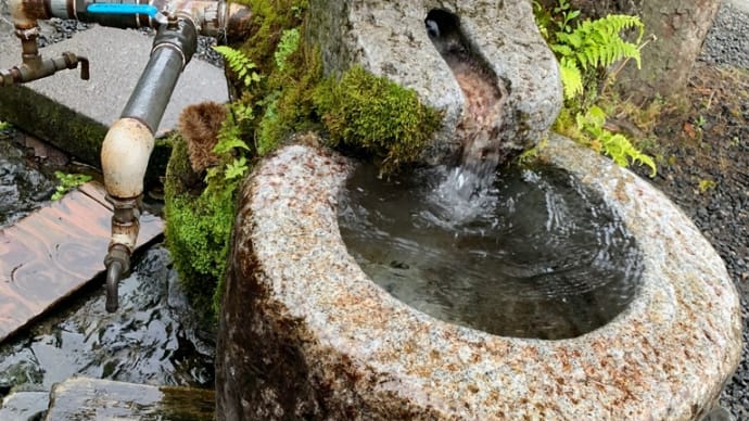 川場の湧水〜片品・ささの湯