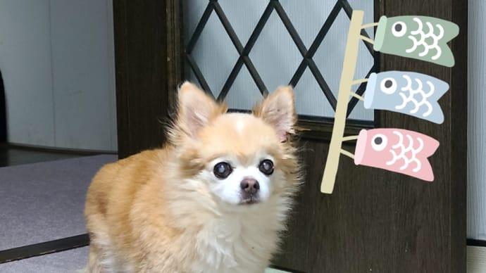 家にいても暑かった~