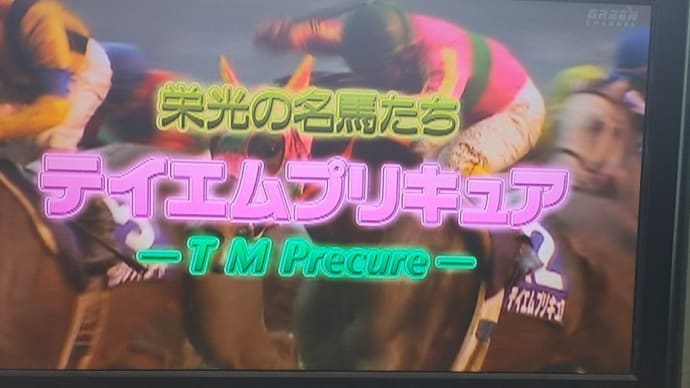🐴🎵栄光の名馬たち テイエムプリキュア😆😆😆