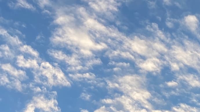 朝の空