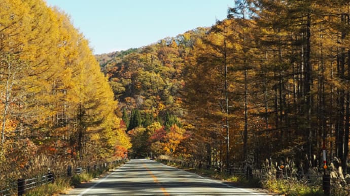 せせらぎ街道 紅葉してました②