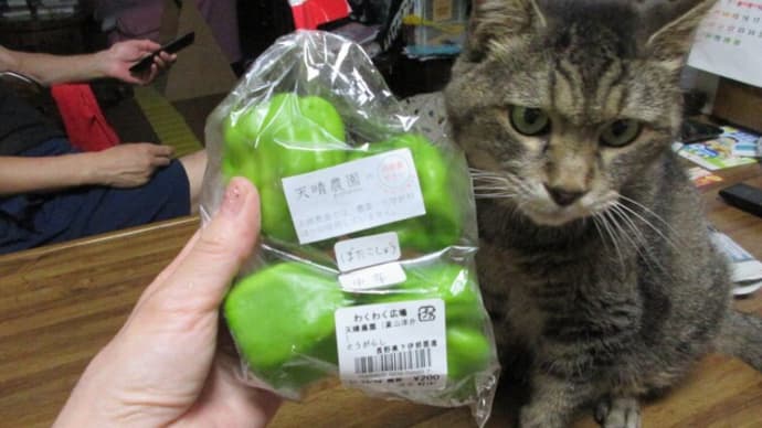 ぼたこしょう知ってる?