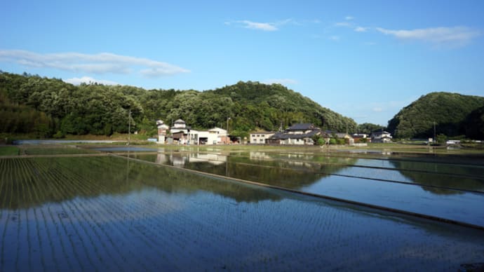 田園風景