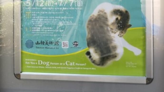 犬派?猫派? @山種美術館