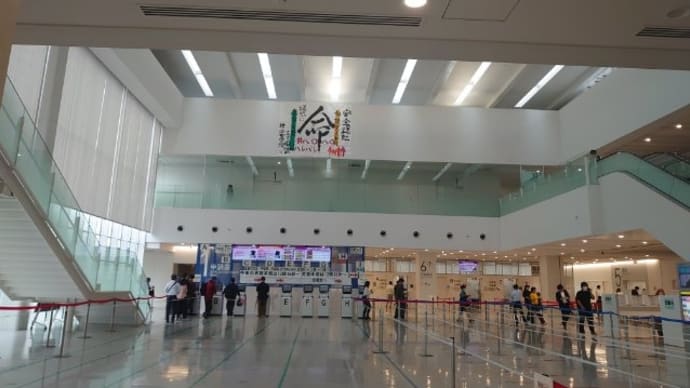 臨時認知機能検査