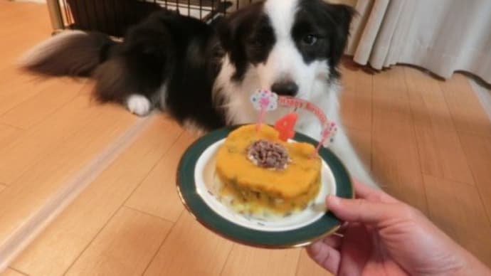  Ａお誕生日2022～ケーキを食べる