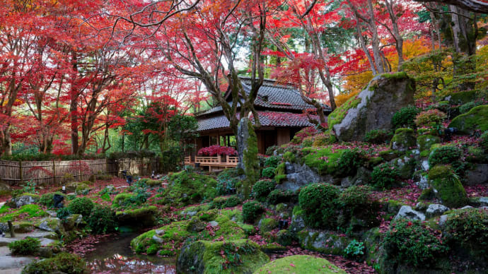 晩秋の教林坊(近江八幡市安土町)