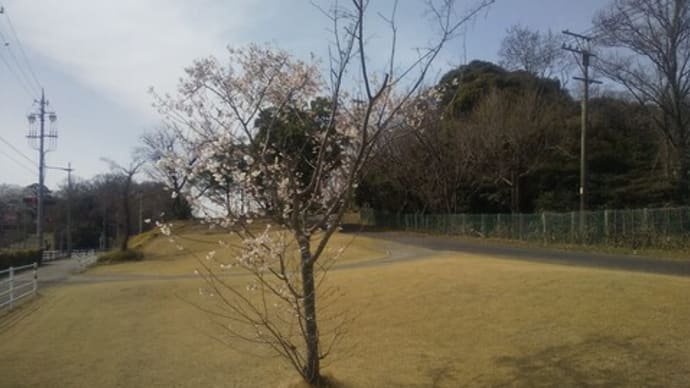 2021年3月20日の状況