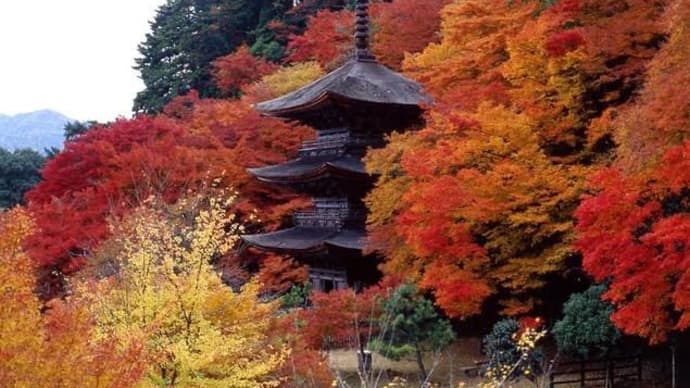 🍁  京丹後の寺社仏閣  🌿
