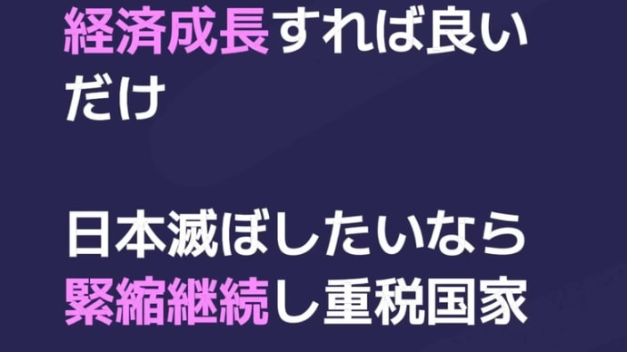 経済成長して税収増やせ‼️失われた30年の失敗を繰り返すな‼️