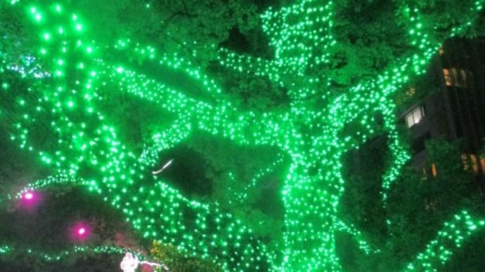 ひろしまドリミネーション2024 平和大通りがライトアップ!夜の広島の街もなかなかオツなものです ぜひ、お越しくださいね!