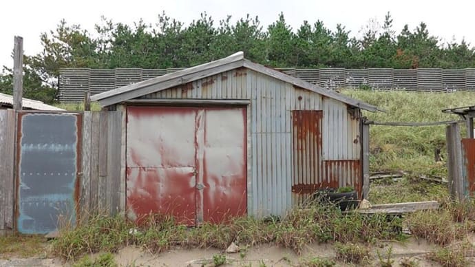 散歩写真 22/10/11