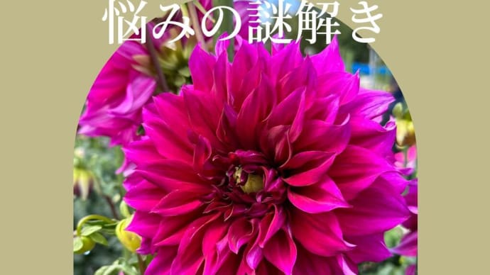 【心理カウンセラー資格・悩みの謎解き:チームプレイ】