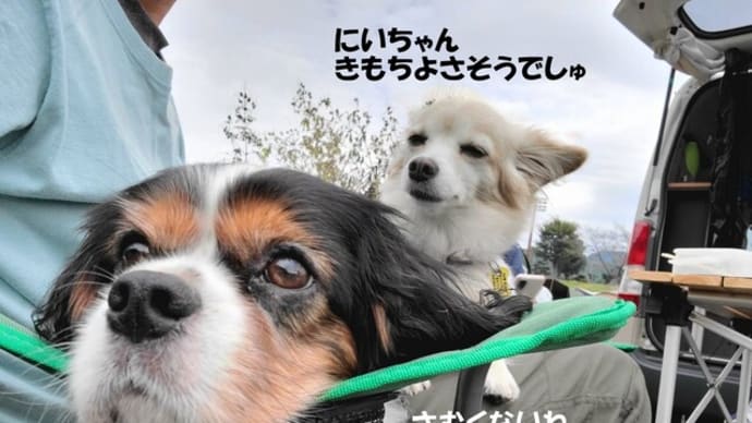 悪魔出現!~キャンプ散歩