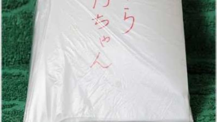 七仔、お星さまになりました(;.;)