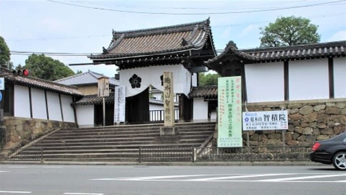 はじめの一歩