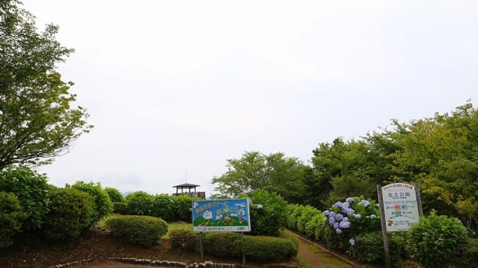 花立公園その1
