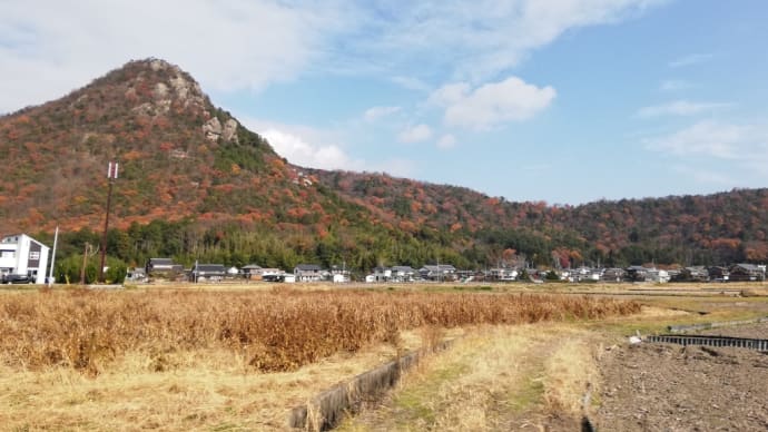 “太郎坊宮”に行ってみたら“幸先詣”になりました!