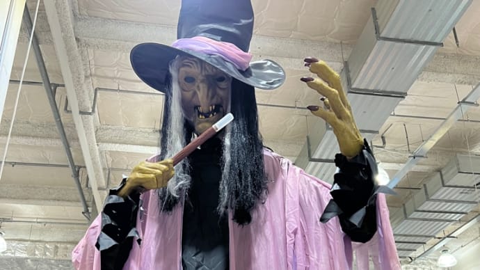 Renewalイオンモール府中、コストコShopping