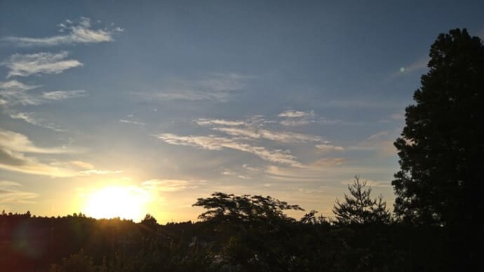 空のワインボトルの空