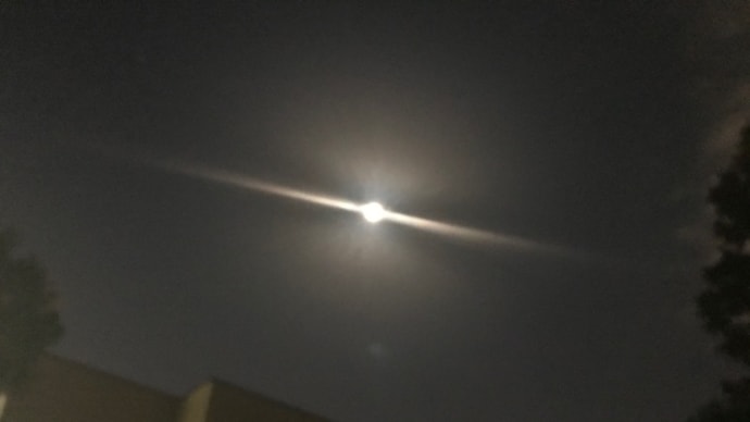 躍動的なお月さま