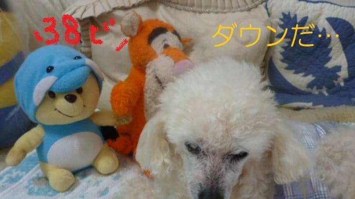 夏休み2日目…ついにダウン…( ▽| | |)サー そしてハリケーンだった台風8号…