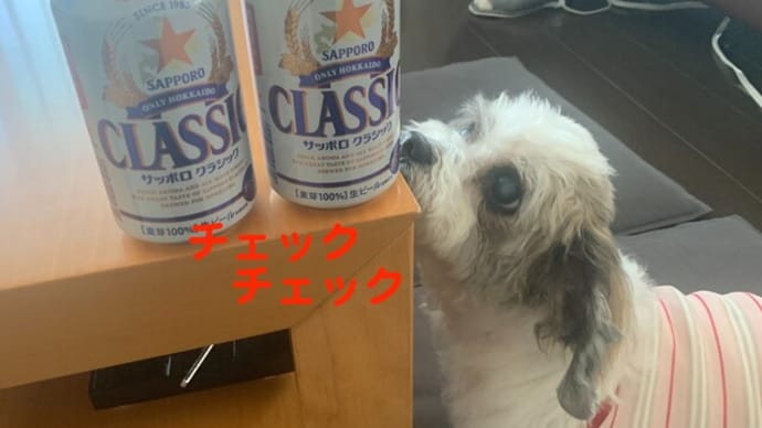 今年も到着!