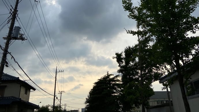 宿命の台本、カンペを知りたい適齢期