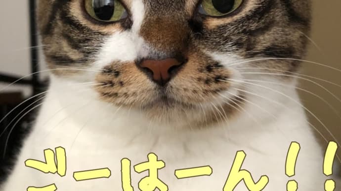 しあわせな朝