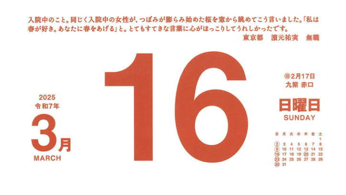 あなたに春をあげる / 濱元祐実