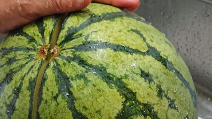 たらふく～スイカ🍉の夏✨