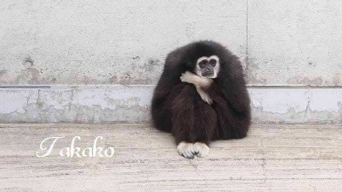 寒い日