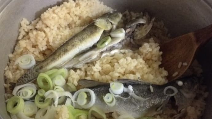 セイゴとハゼの炊き込み御飯