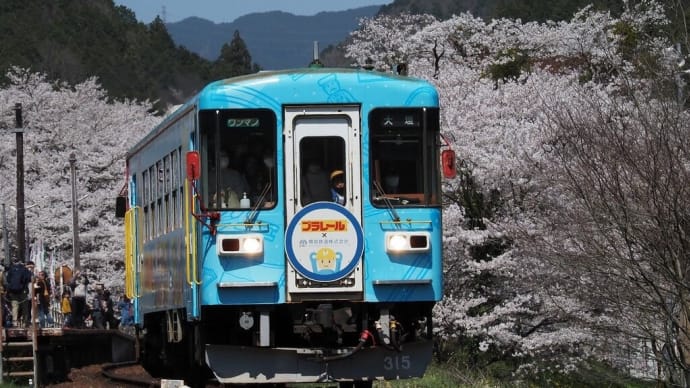 樽見鉄道 谷汲口駅.....桜紀行